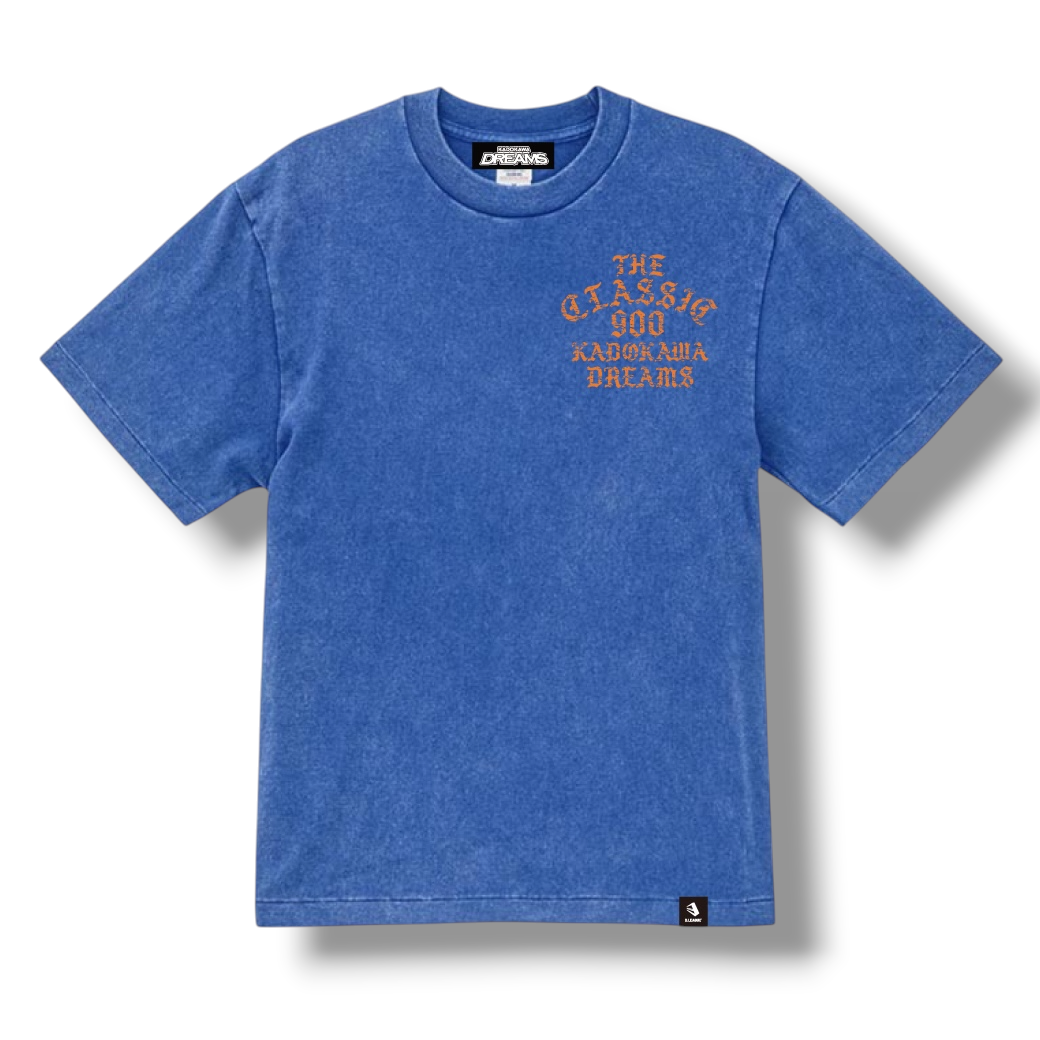 "THE CLASSIC 900" VINTAGE BACKPRINT T-SHIRTS / FADE BLUE